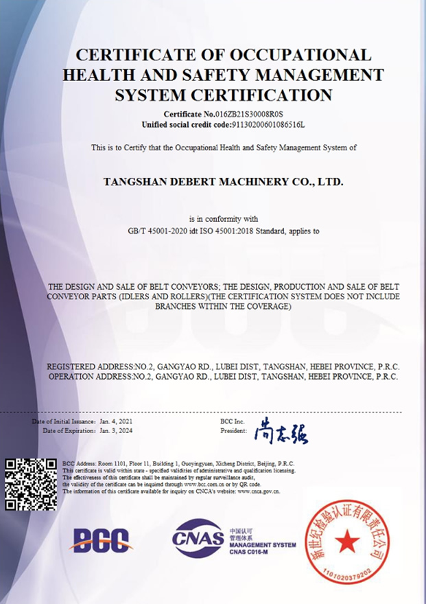 Occupational Health and Safety Management System Certificate(English)